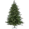 National Tree Company Full^7.5 Ft Douglas Fir Tree With Warm White Led Lights