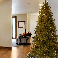 7Ft - 9Ft-National Tree Company 7.5 Ft. Downswept Douglas(R) Slim Fir Tree With Clear Lights
