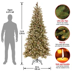 7Ft - 9Ft-National Tree Company 7.5 Ft. Dunhill(R) Fir Slim Tree With Clear Lights