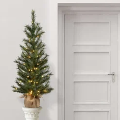 National Tree Company Full^4 Ft Frosted Ontario Pine Tree With Battery Operated Lights