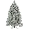 National Tree Company Full^7.5 Ft. Hgtv Home Collection Pre-Lit Flocked Bavarian Pine Tree