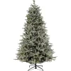 National Tree Company Full^7.5 Ft Holliston Tree With Dual Color® Led Cosmic Lights®