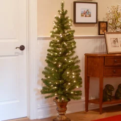 Under 5Ft-National Tree Company 5 Ft. Montclair Spruce Entrance Tree With Clear Lights