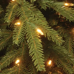 Full-National Tree Company 7.7 Ft. Monterey Fir Tree With Clear Lights