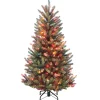 National Tree Company Slim^45 Ft Natural Fraser Slim Fir Tree With Multicolor Lights