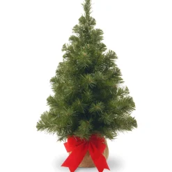 Full-National Tree Company 2 Ft Noble Spruce Tree