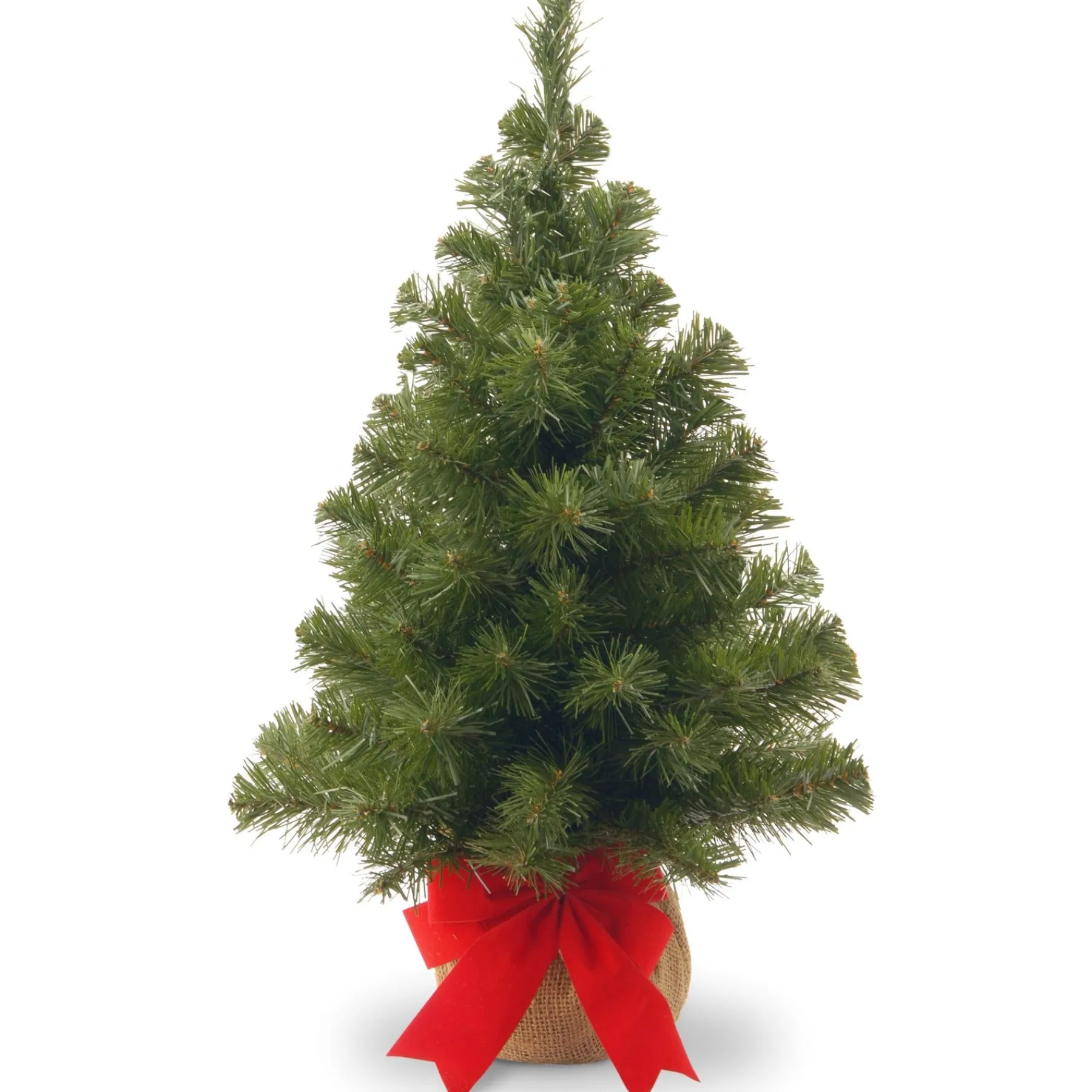 Full-National Tree Company 2 Ft Noble Spruce Tree
