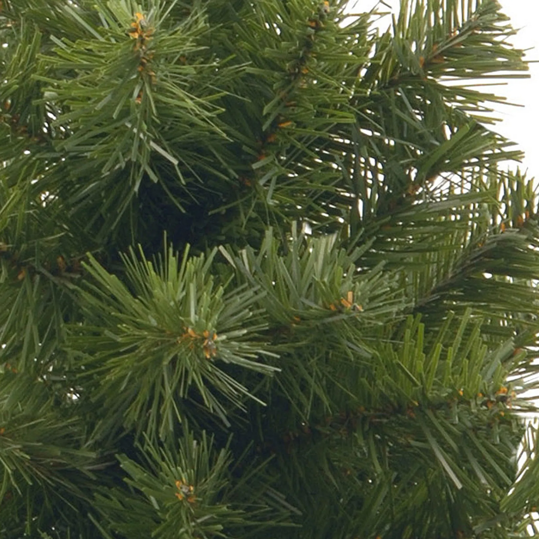 Full-National Tree Company 2 Ft Noble Spruce Tree