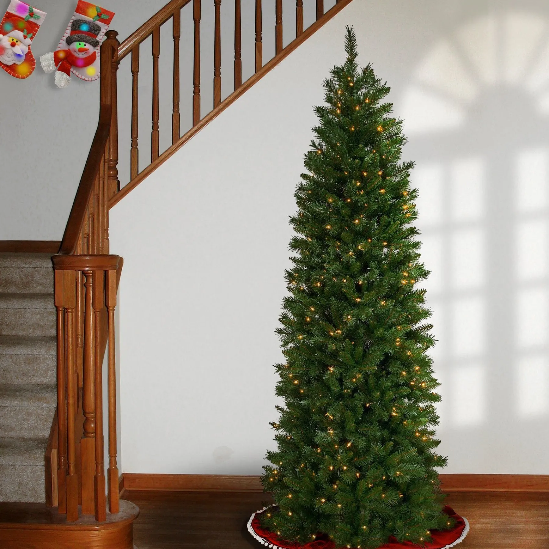 7Ft - 9Ft-National Tree Company 7.5 Ft. Pennington Fir Pencil Tree With Clear Lights