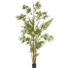 Potted Plants-National Tree Company 6 Ft. Potted Japanese Bamboo Tree