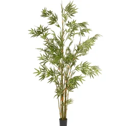 Potted Plants-National Tree Company 6 Ft. Potted Japanese Bamboo Tree