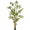 National Tree Company Home & Garden Decor^6 Ft. Potted Japanese Bamboo Tree
