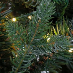 Full-National Tree Company 7.5 Ft Pre-Lit Aspen Pine Tree With Led Lights