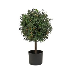 National Tree Company Topiaries / Shurbs^2 Ft. Pre-Lit Boxwood Single Ball Topiary In Black Nursery Pot
