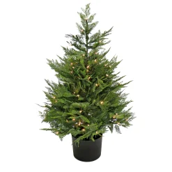 National Tree Company Potted Plants^3 Ft. Pre-Lit Cypress Tree In Nursery Pot