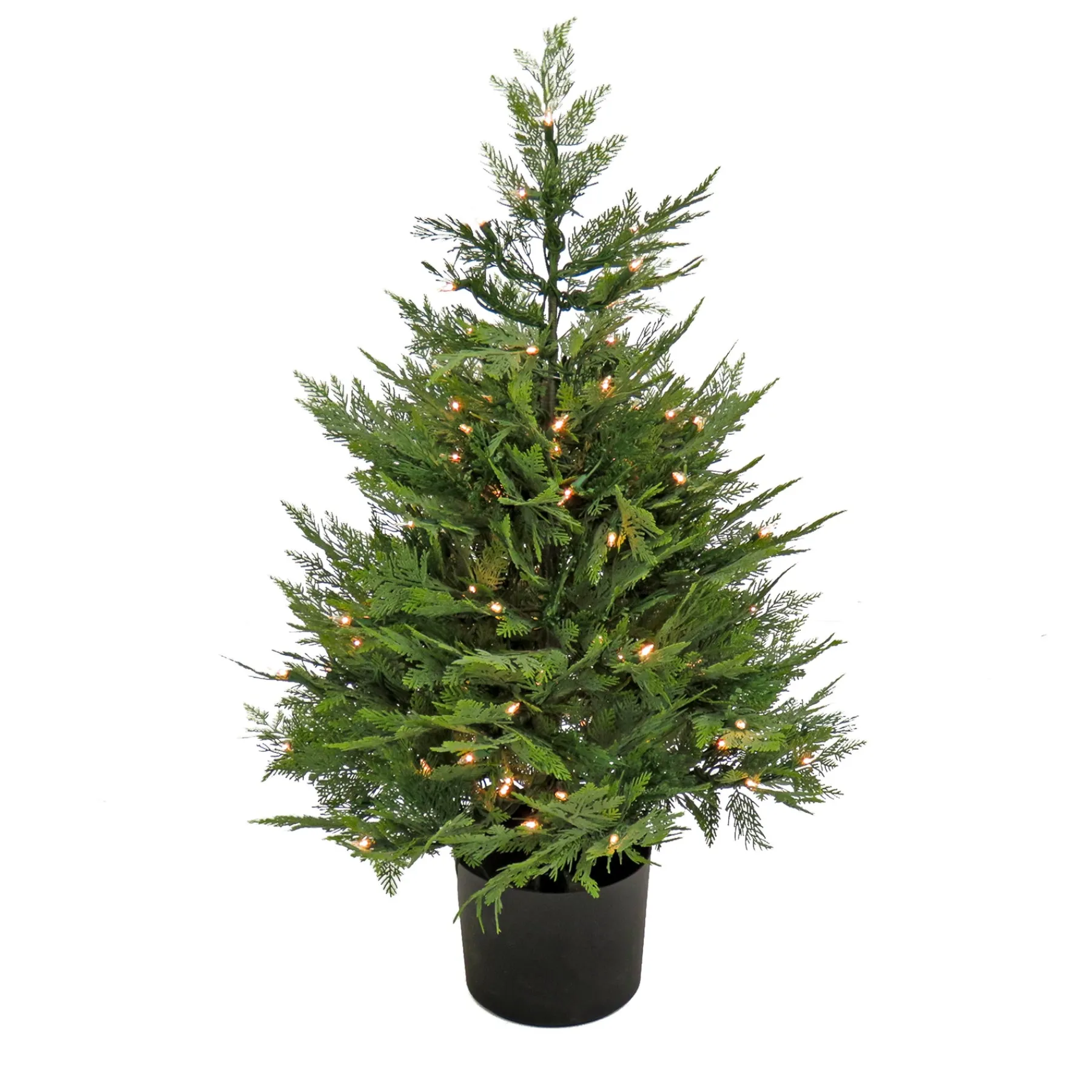 National Tree Company Potted Plants^3 Ft. Pre-Lit Cypress Tree In Nursery Pot