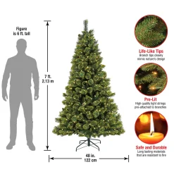 Full-National Tree Company 7 Ft Pre-Lit Maine Pine Tree With Led Lights