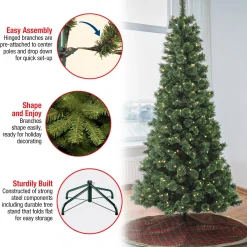 Slim-National Tree Company 7.5 Ft. Pre-Lit Pilchuck Pine Tree With Led Lights