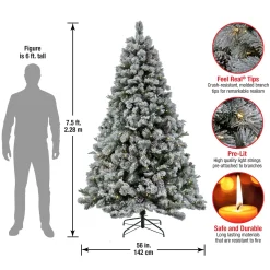 Warm White Led-National Tree Company 7.5 Ft. Pre-Lit Snowy Silver Hill Pine Tree With Led Lights