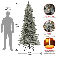 7Ft - 9Ft-National Tree Company 7.5 Ft Pre-Lit Snowy Vintin Fir Tree With Led Lights