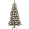 7Ft - 9Ft-National Tree Company 7.5 Ft. Snowy Bristle Pine Slim Pine Tree With Clear Lights