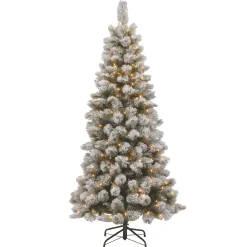 7Ft - 9Ft-National Tree Company 7.5 Ft. Snowy Bristle Pine Slim Pine Tree With Clear Lights