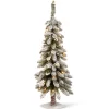 Under 5Ft-National Tree Company 3 Ft. Snowy Downswept Forestree With Clear Lights