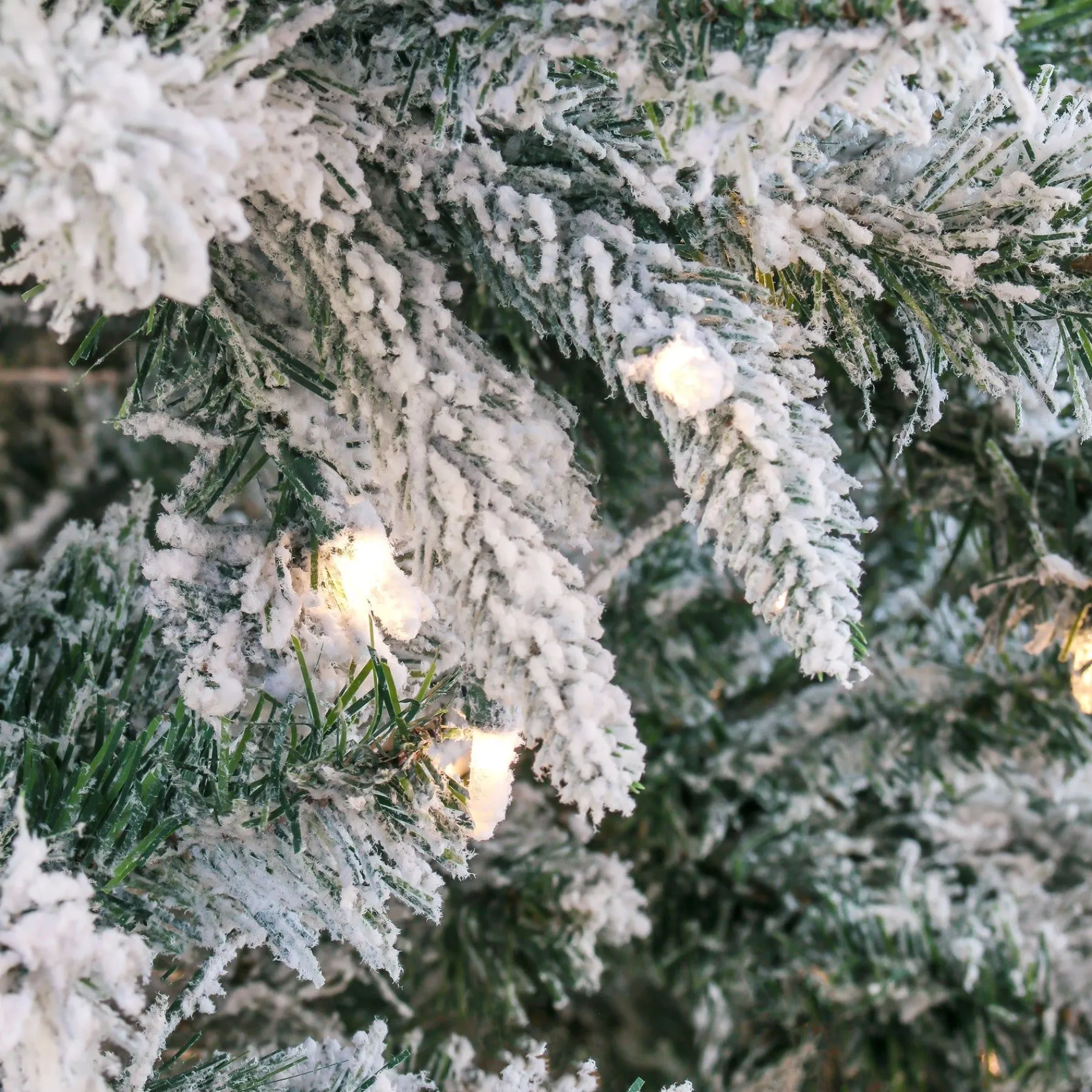 Full-National Tree Company 6.5 Ft. Snowy Mixed Pine Tree With Clear Lights