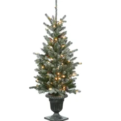 National Tree Company Slim^4 Ft Snowy Morgan Spruce Entrance Tree With Clear Lights