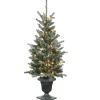 Slim-National Tree Company 4 Ft Snowy Morgan Spruce Entrance Tree With Clear Lights