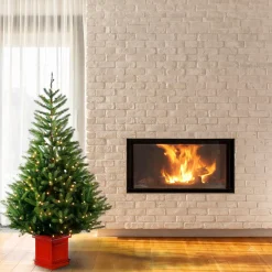 5Ft - 6Ft-National Tree Company 5 Ft. Topeka Spruce Entrance Tree With Clear Lights