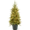 Full-National Tree Company 4 Ft Weeping Spruce Tree With Clear Lights
