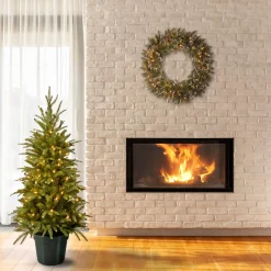 Full-National Tree Company 4 Ft Weeping Spruce Tree With Clear Lights