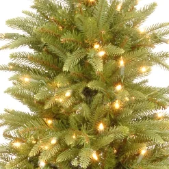 Full-National Tree Company 4 Ft Weeping Spruce Tree With Clear Lights