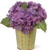 National Tree Company Potted Flower Plants^11" Garden Accents Hydrangea