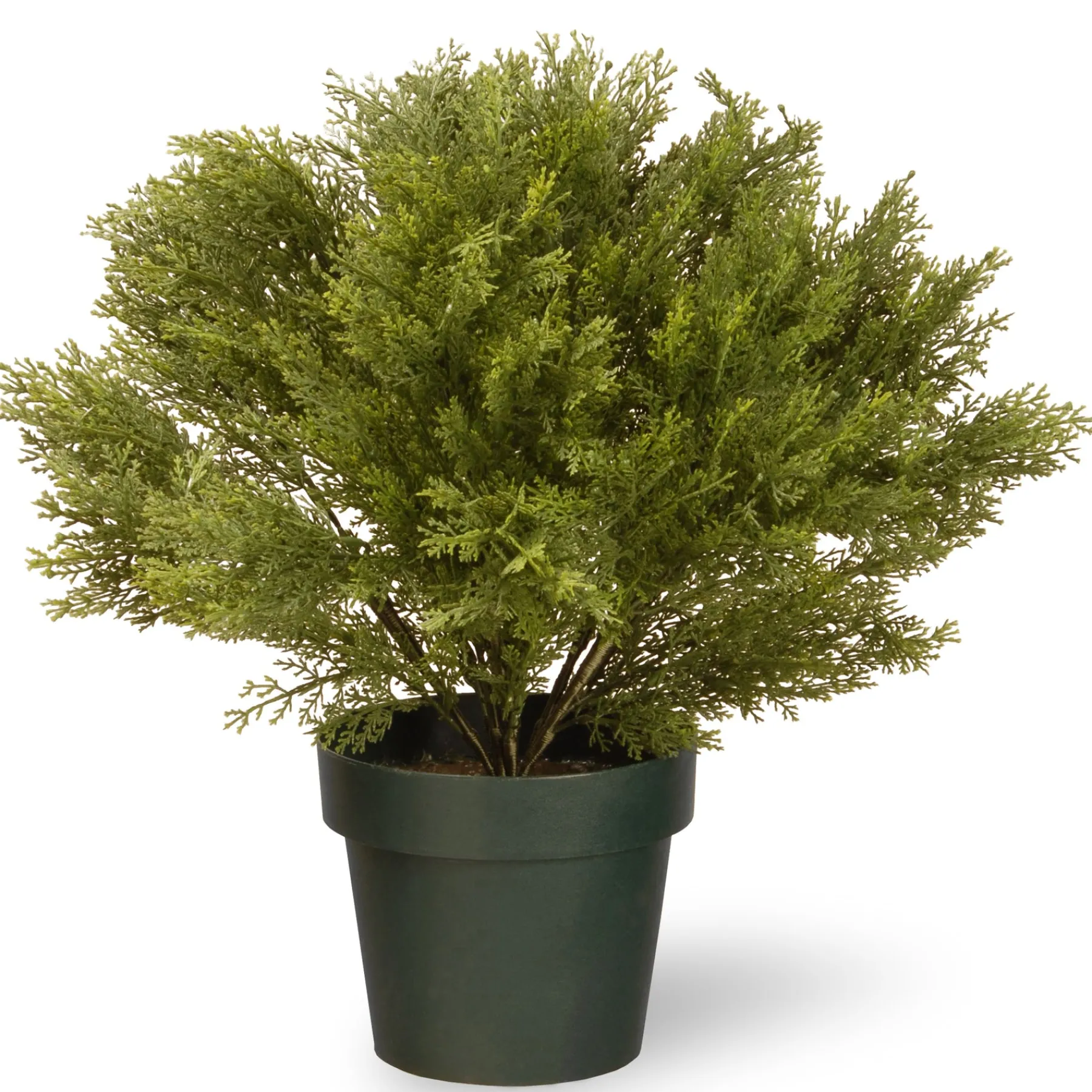 National Tree Company Potted Plants^22" Globe Cedar Tree With Dark Green Round Growers Pot