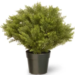 Topiaries / Shurbs-National Tree Company 28" Globe Juniper Tree