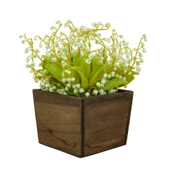 National Tree Company Potted Flower Plants^10" Green Lily-Of-The-Valley Flowers In Wood Box