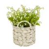 National Tree Company Potted Flower Plants^11" Green Lily-Of-The-Valley Flowers In White Basket