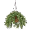 Hanging Flower Plants-National Tree Company 18" Hanging Argentea Plant With Pink Flowers
