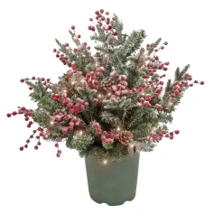 Christmas Greenery-National Tree Company 28" Hgtv Home Collection Pre-Lit Frosted Traditions Planter Filler