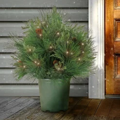 Christmas Greenery-National Tree Company 26" Hgtv Home Collection Pre-Lit Black Tie Planter Filler
