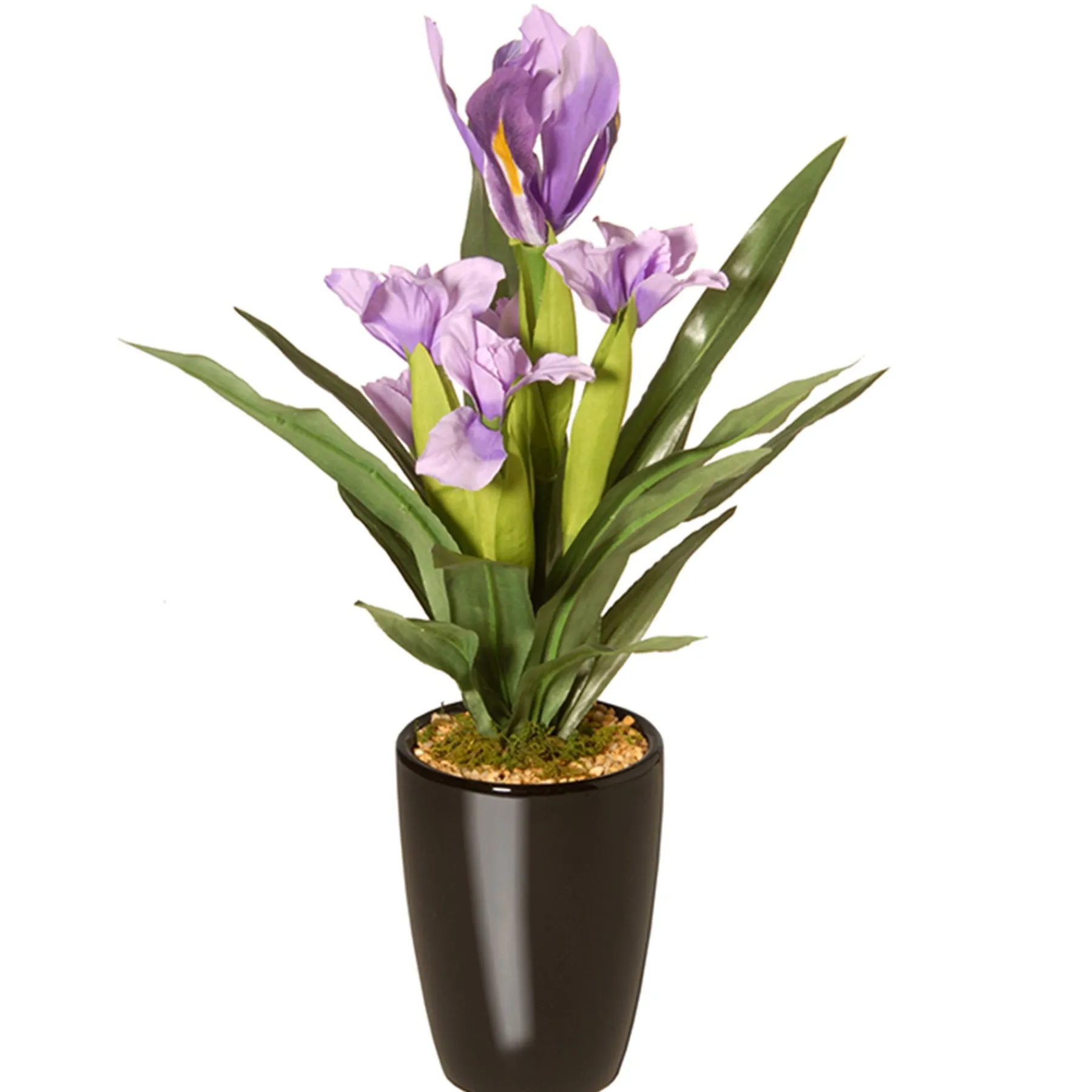 National Tree Company Home & Garden Decor^17" Iris Plant In Ceramic Pot