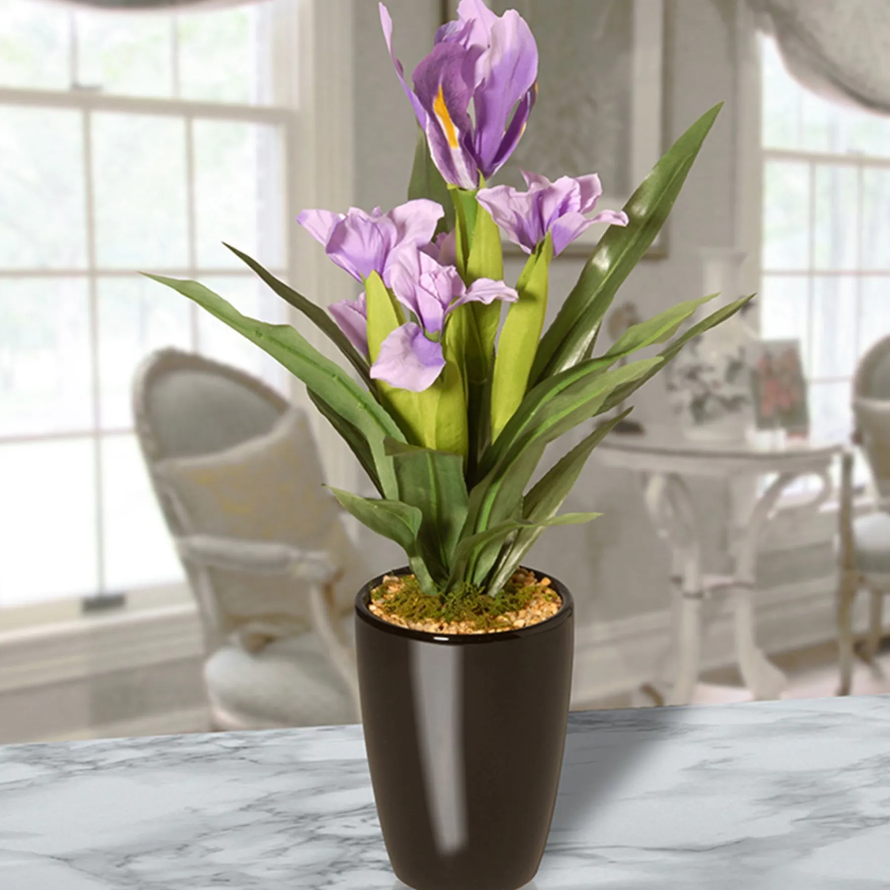 National Tree Company Home & Garden Decor^17" Iris Plant In Ceramic Pot