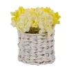 National Tree Company Potted Flower Plants^10" Light Yellow Hydrangea Bouquet In White Basket