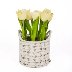 Flower Bouquets-National Tree Company 10" Light Yellow Tulip Bouquet In White Basket