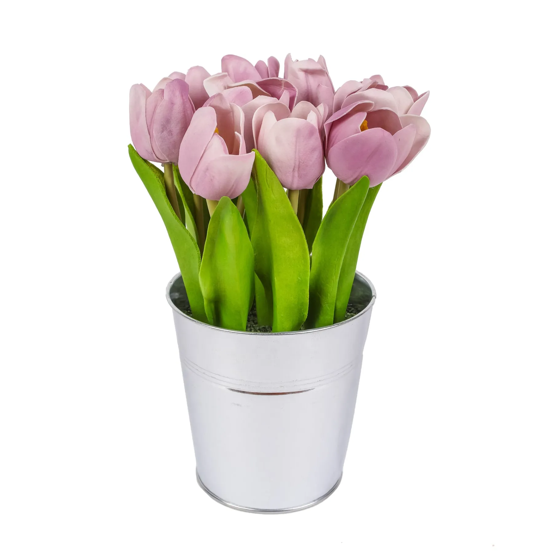 National Tree Company Potted Flower Plants^9" Mauve Tulip Bouquet