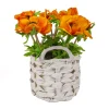 National Tree Company Potted Flower Plants^10" Orange Anemone Flower Bouquet In White Basket