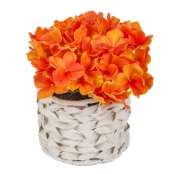 National Tree Company Potted Flower Plants^10" Orange Hydrangea Bouquet In White Basket