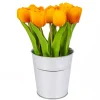 National Tree Company Potted Flower Plants^9" Orange Tulip Bouquet